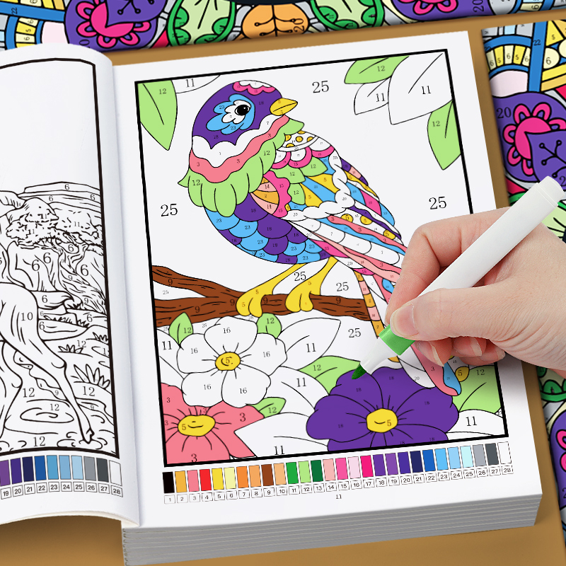 Food Y Snacks Coloring Book - Color by Number for Adults Coloring