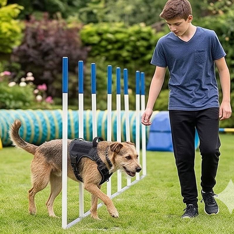 Universal Vest Harness Dog Foo - огляд і ціна Food Snacks For Hiking